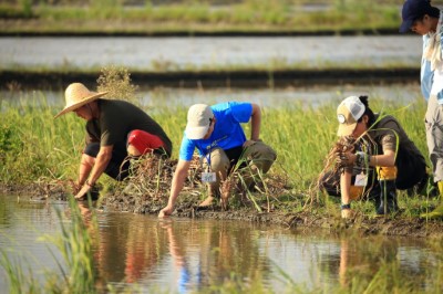 民眾親自體驗如何營造棲地